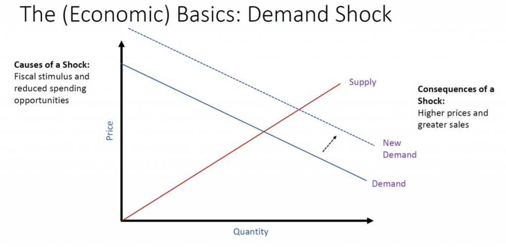 The (Economic) Basics: Demand Shock